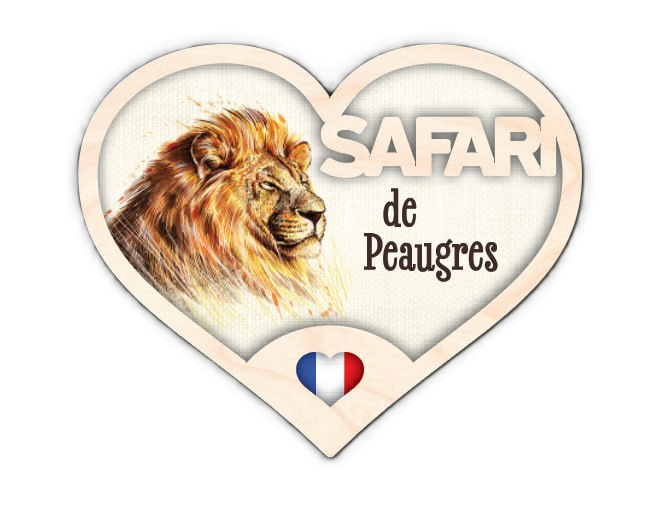 3-900C magnet bois coeur ss fd Magnet bois