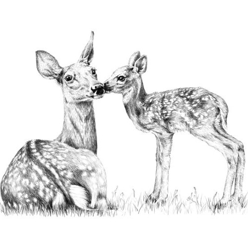 Marquage Art ara bleu