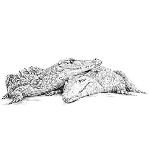 Marquage Art flamant rose