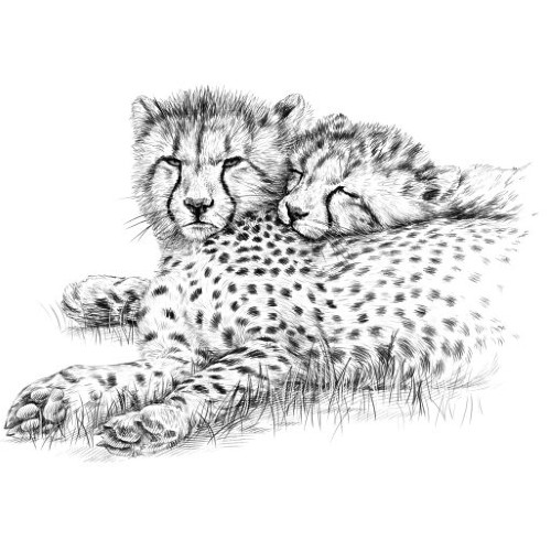 Marquage Art Elephant