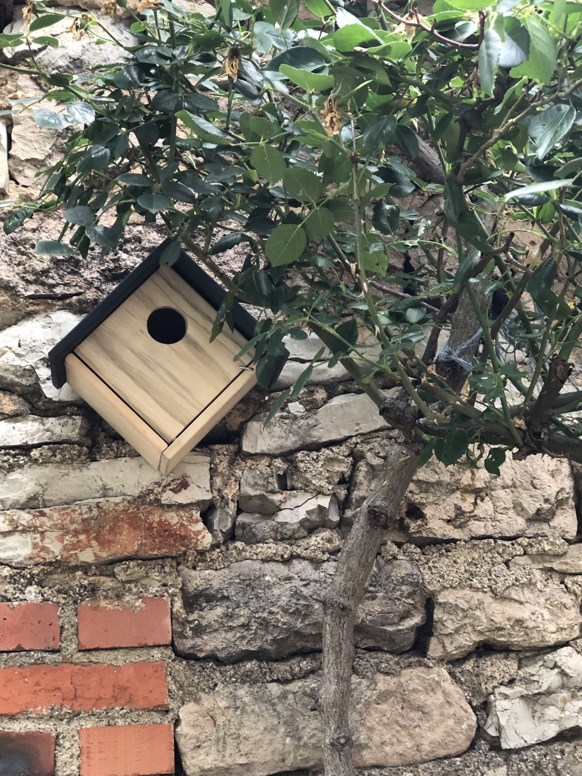 grande gourde bleue turquoise personnalisée
