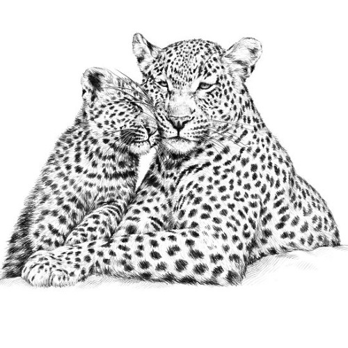 Marquage Art Crocodile