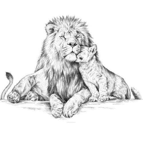 Marquage Art guépard