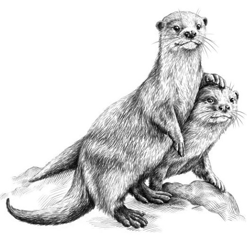 Marquage Art Chouette