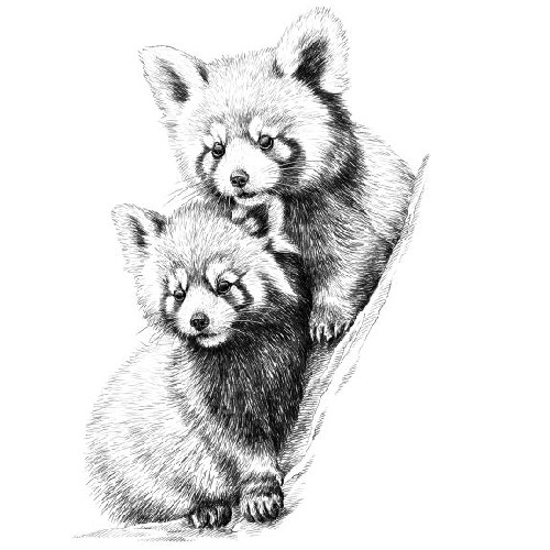 Marquage Art Girafes