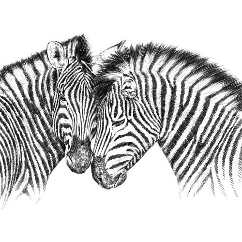 Marquage Art Gorille