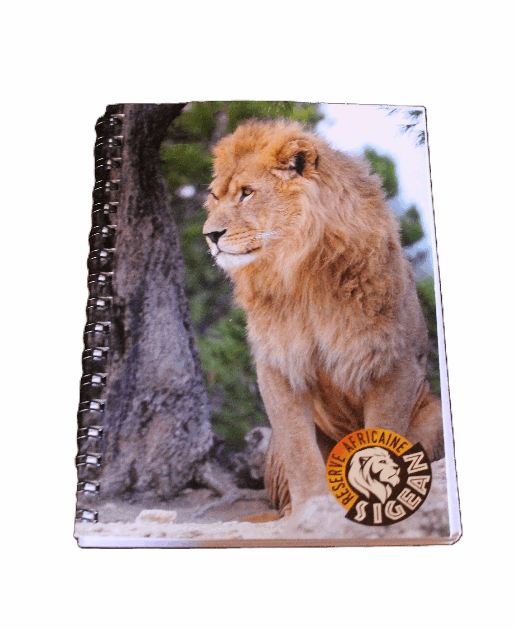 Carnet art edelweiss