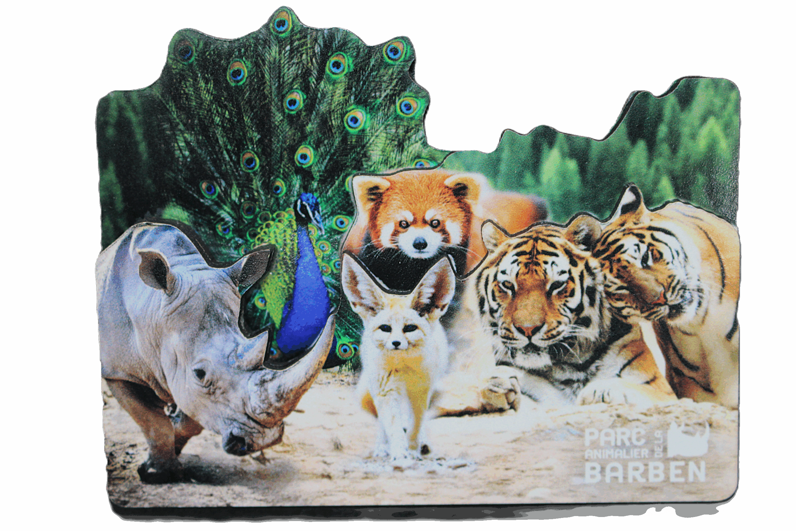 magnet 3D - Modèle 1 Magnet ara rouge