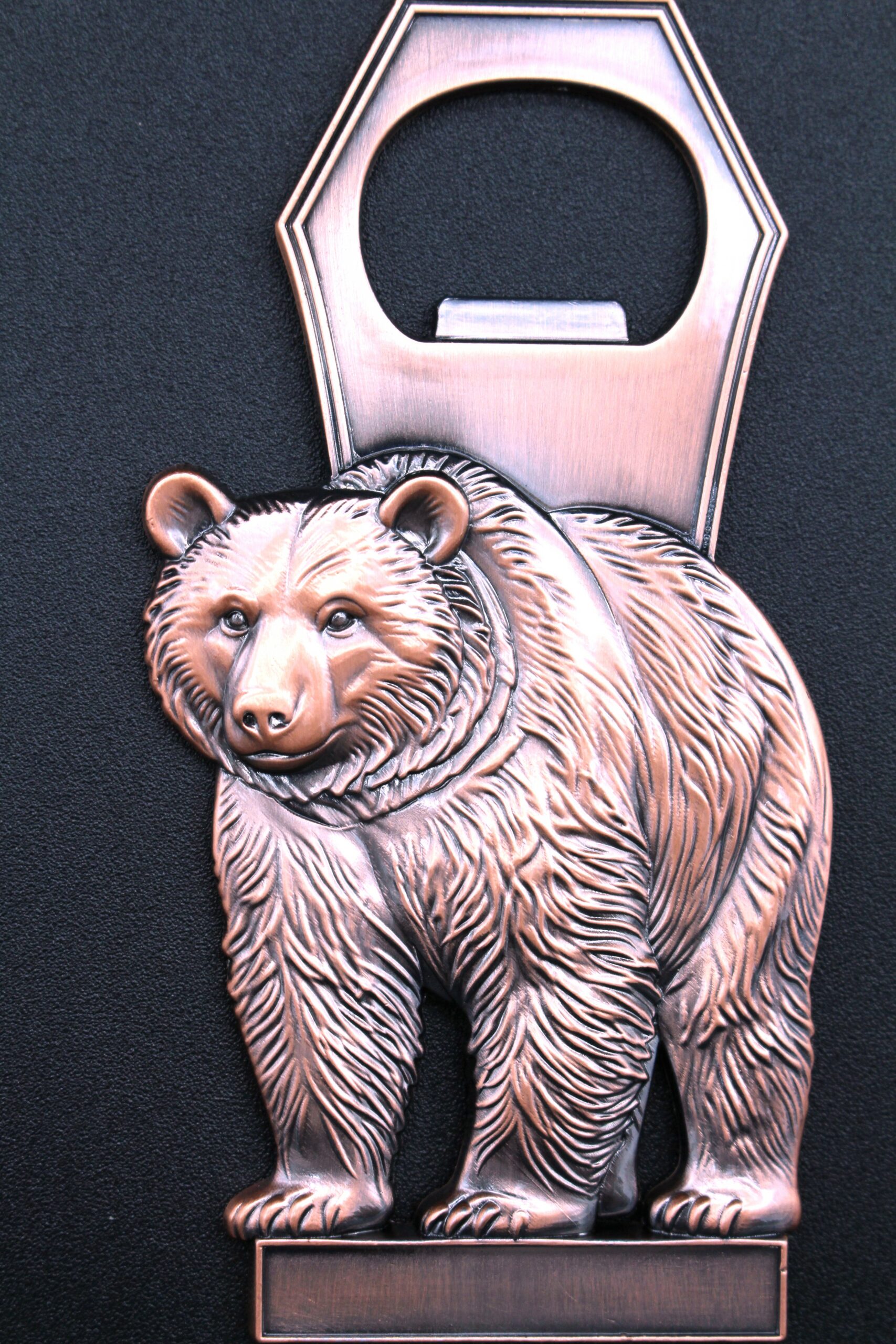 lion marking