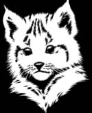 marquage bebe lynx