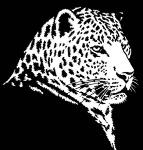 marquage leopard