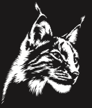 marquage lynx