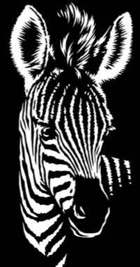 marquage zebre
