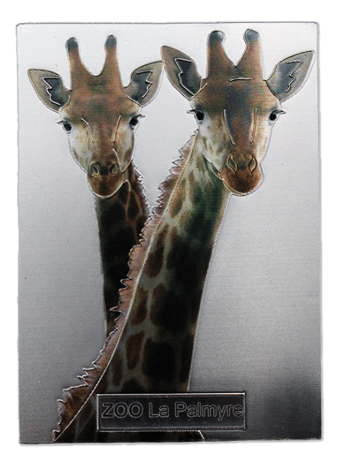 magnet girafe