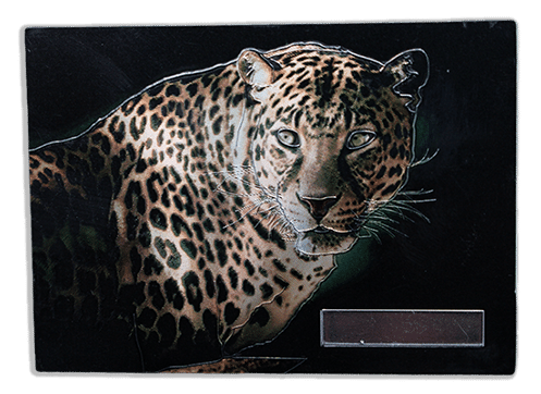 magnet leopard