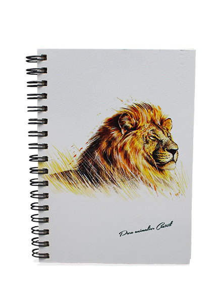 Carnet art lion
