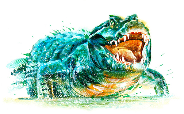 Marquage Art Crocodile