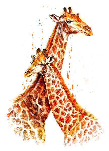 Marquage Art Girafes