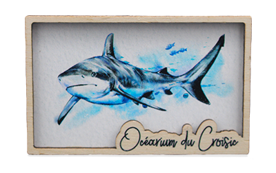 Marquage Art Requin