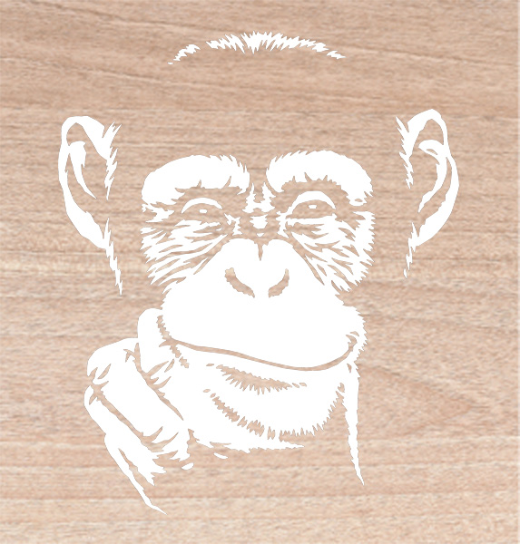 marquage chimpanzé bois
