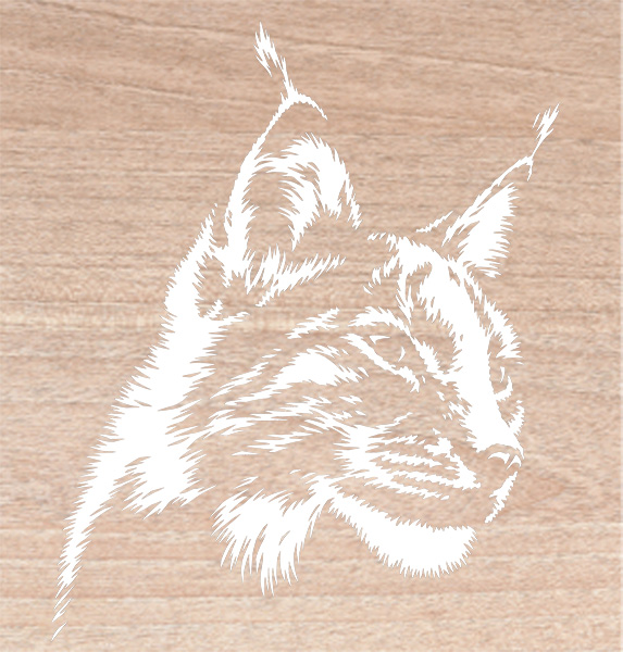 marquage lynx bois