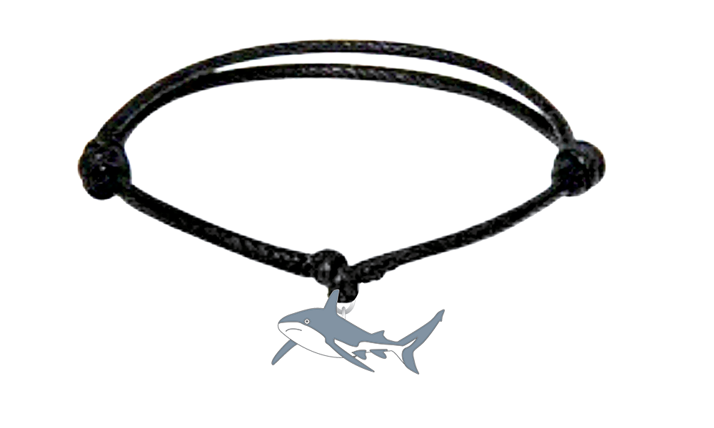 Keychains charms sharks